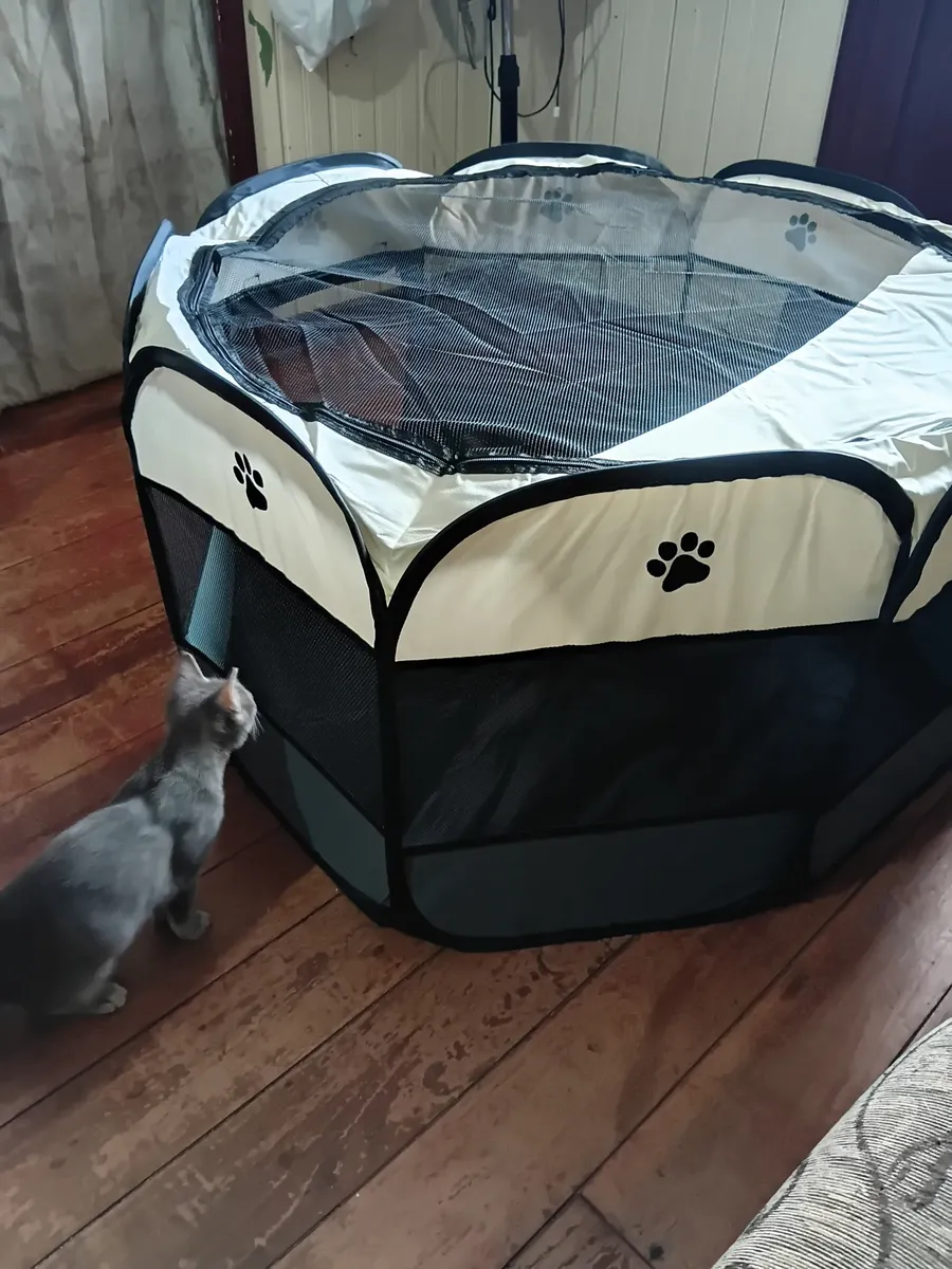 Cercadinho com teto em tela e gato ao lado